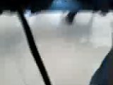 Dinsy buttcrack dwa