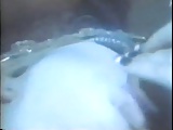Kingsavagej